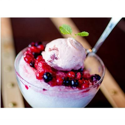 220V/50Hz 48KG 슬러시 강아지 기계 420x590x810mm